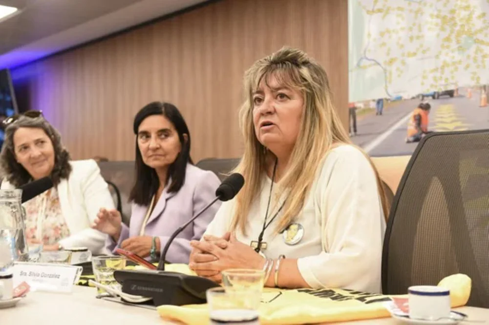 Madres del Dolor en Diputados NA