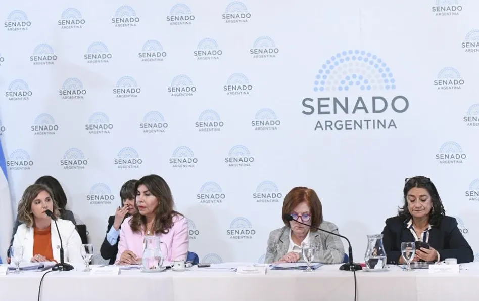 Senado en Comisión (X de Stefanía Cora)