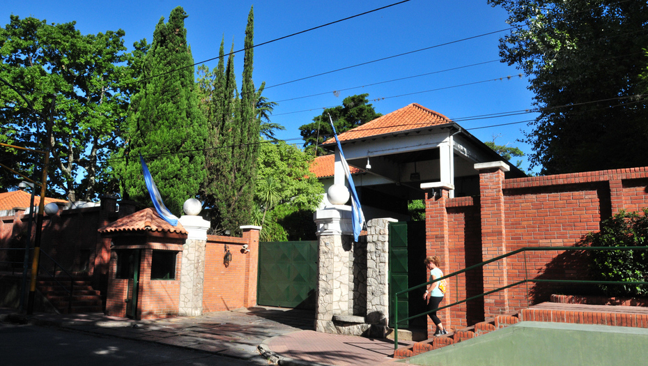 olivos 8