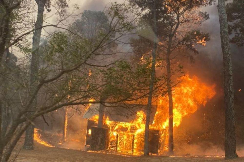 Incendios gentileza