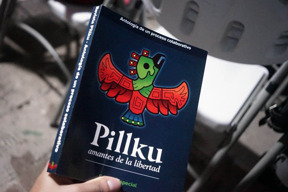 Pillku-impresa-1024x684