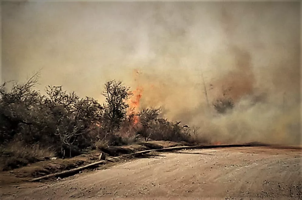 Incendio forestal (foto Gobierno de Córdoba)
