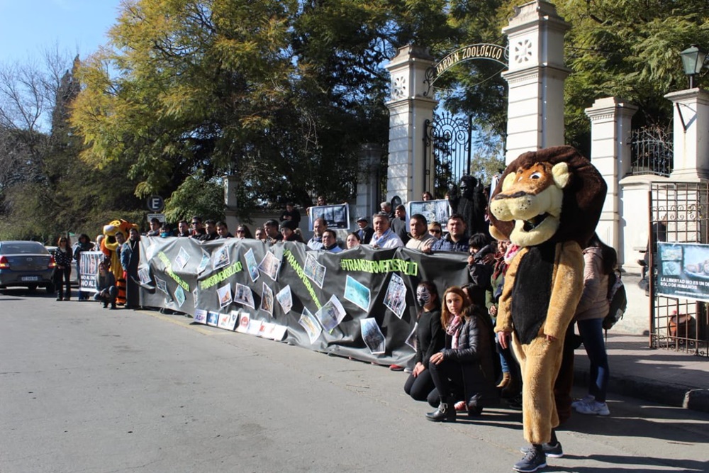 zoo 1