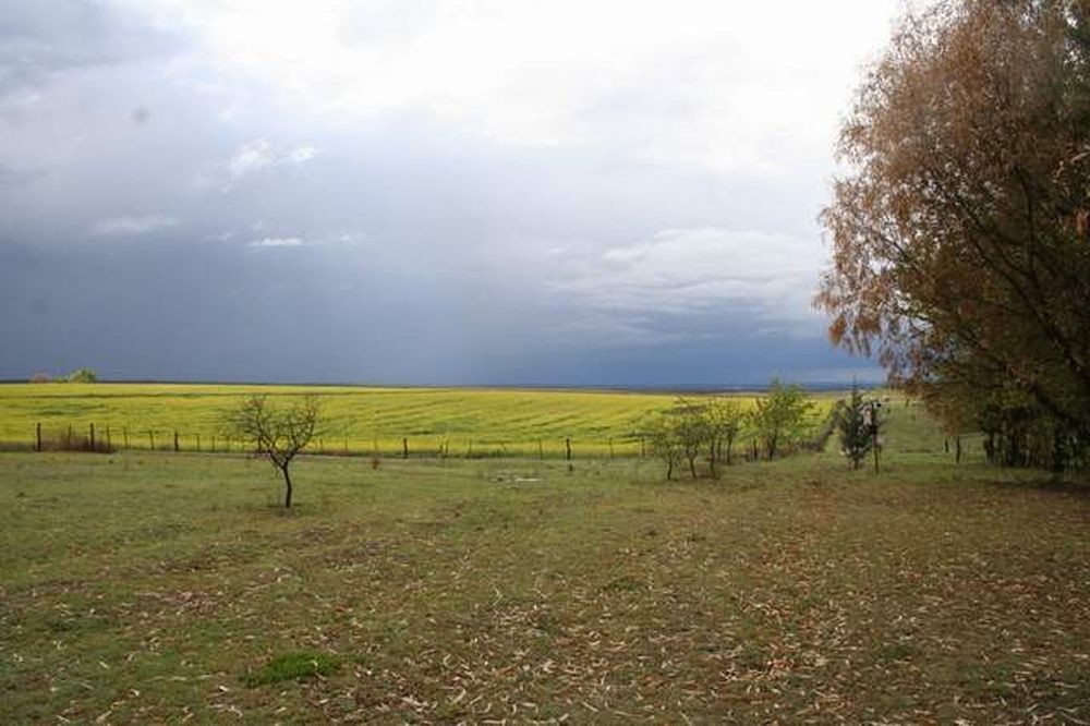 Campos Córdoba