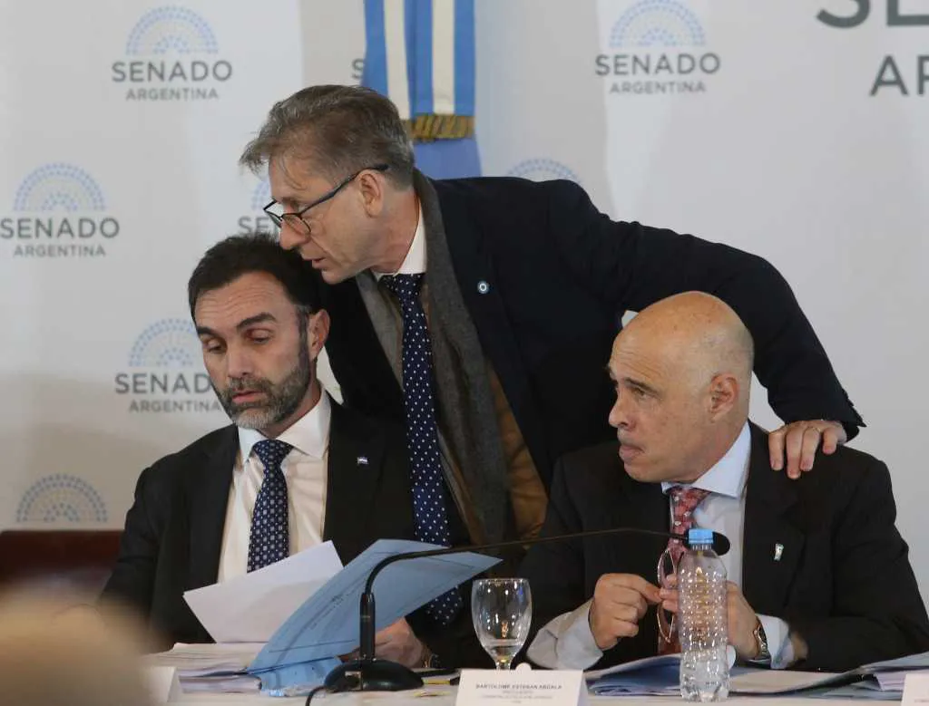 Ley Bases en comisiones dl Senado NA