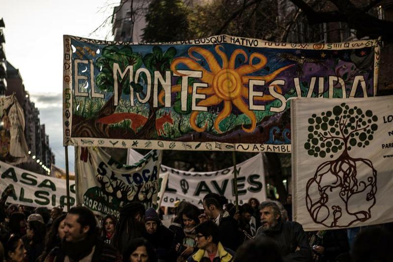bosques 26