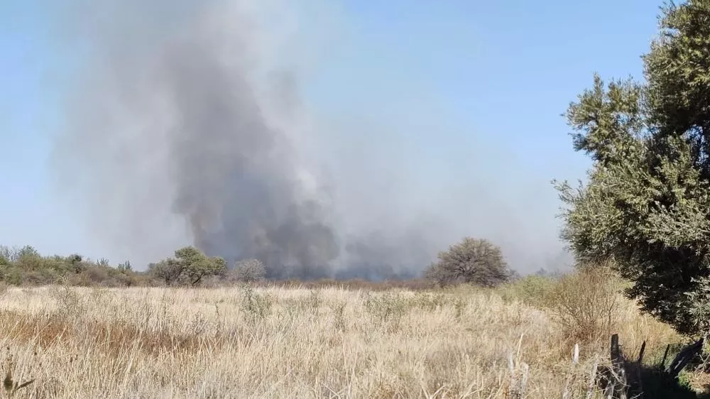 incendio forestal by tw Ministerio de Seguridad