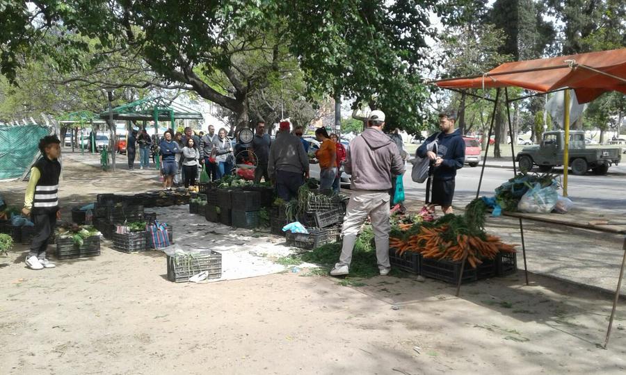 feria agroecologia 7