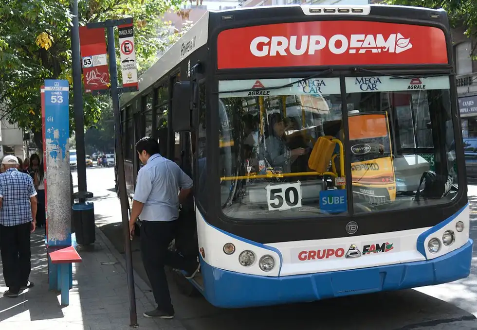 colectivo grupo fam