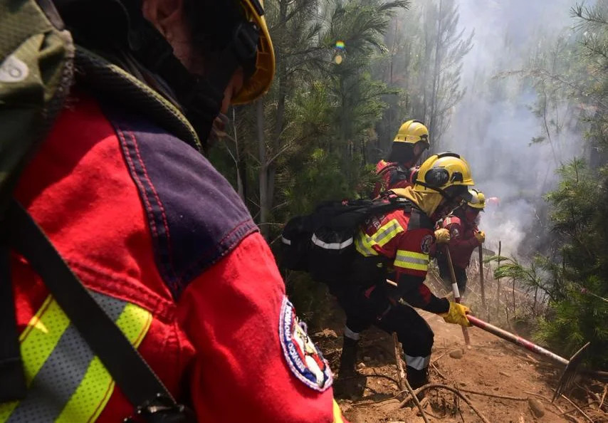 Incendios forestales en la Patagonia (Gobierno de Chubut)