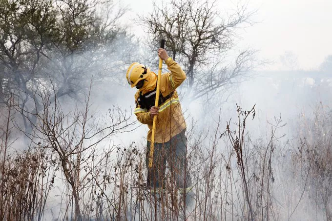 Incendios forestales (Ministerio de Ambiente y Desarrollo Sostenible de la Nación) 03