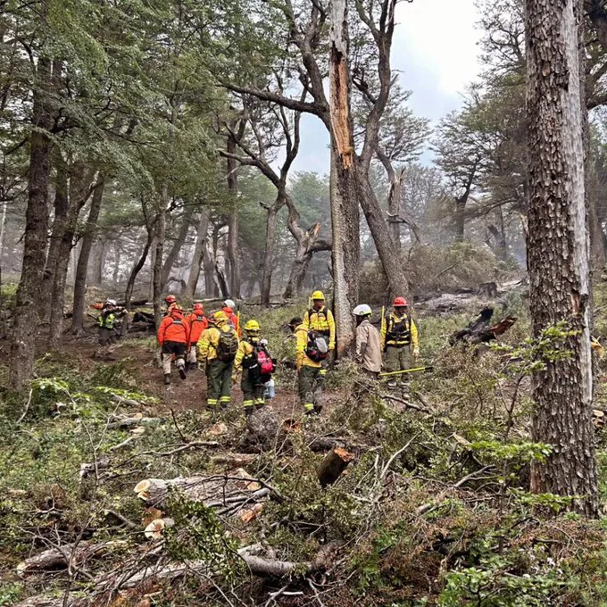 Incendio en el Parque Nacional Los Alerces (Gobierno de Chubut)