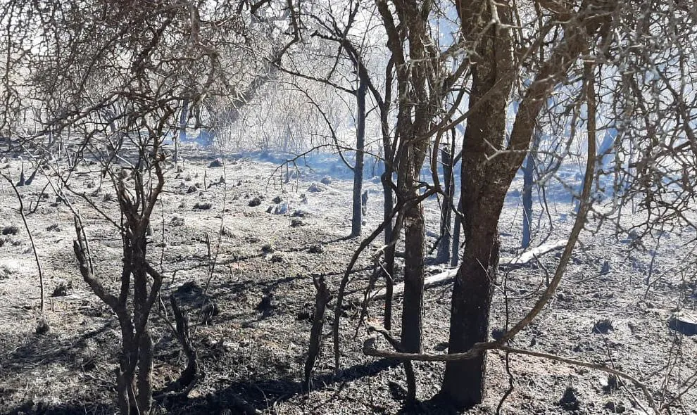 incendios