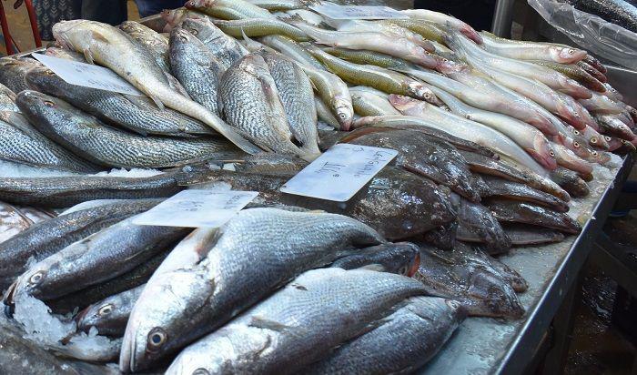 pescado