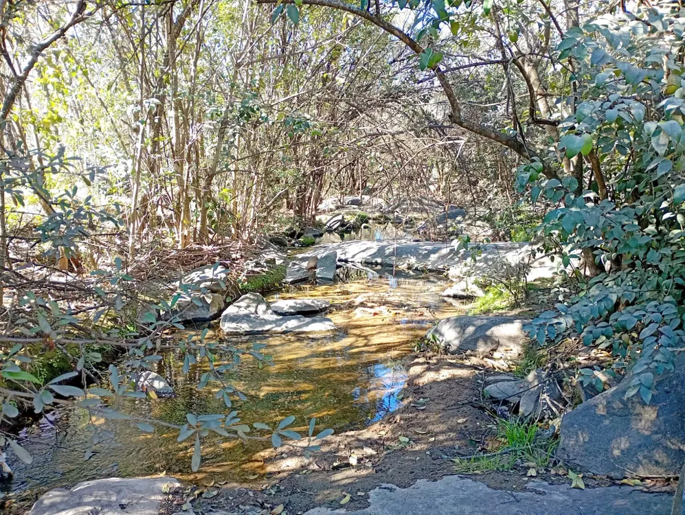 villa parque siquiman 1