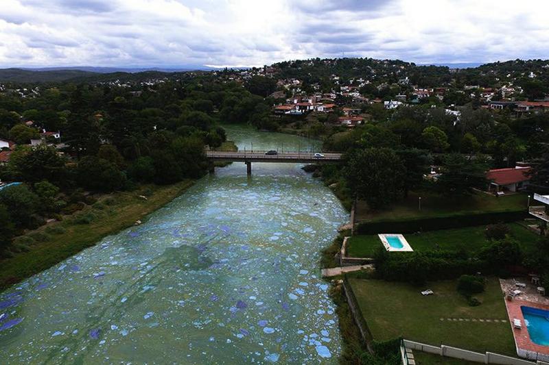 lago