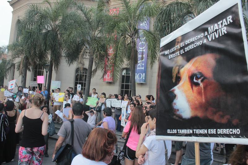 FOTO MARCHA CHOCOLATE 2