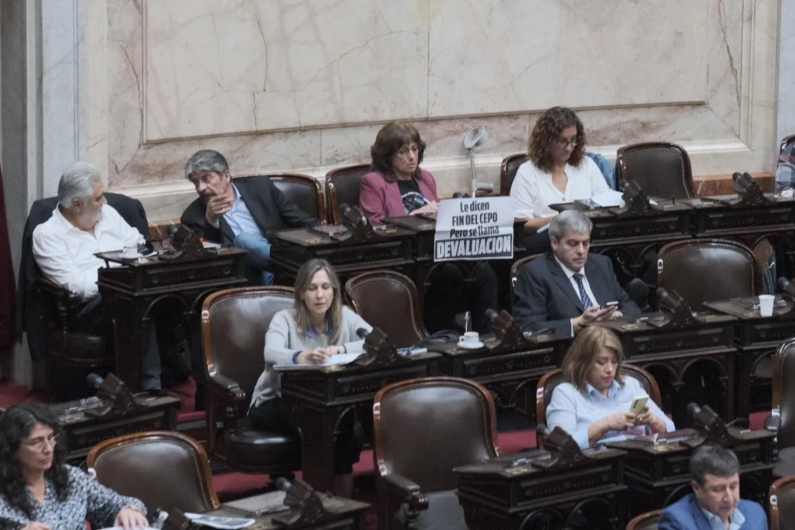 Vilma Ripoll en la Cámara de Diputados (X)