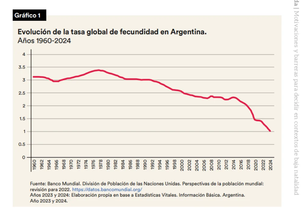 Grafico 1