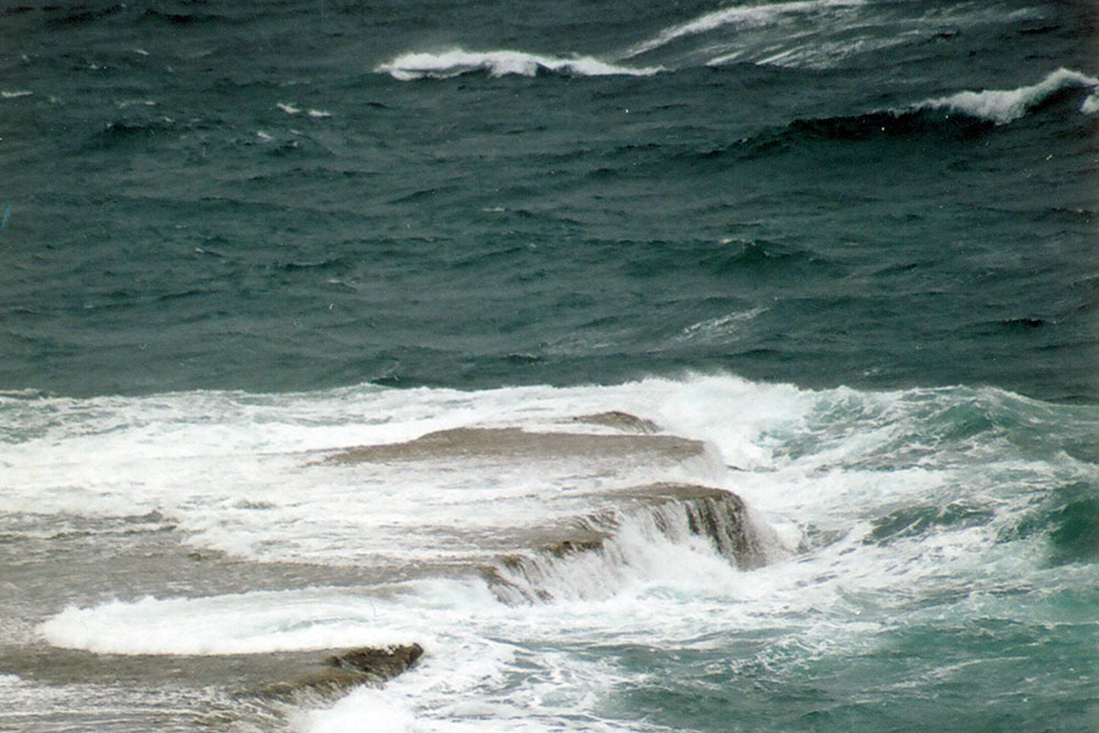 Maxi Oro 01 AGUA