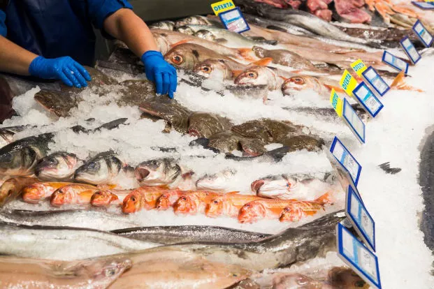 Pescadería (Gobierno de Córdoba)