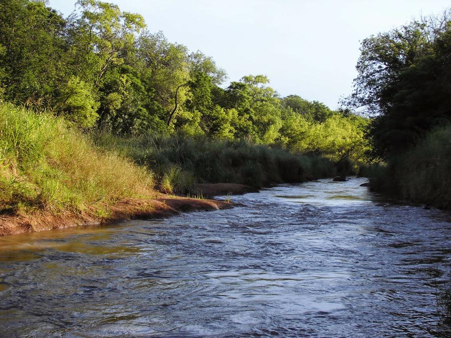 Rio Xanaes intendente de pilar