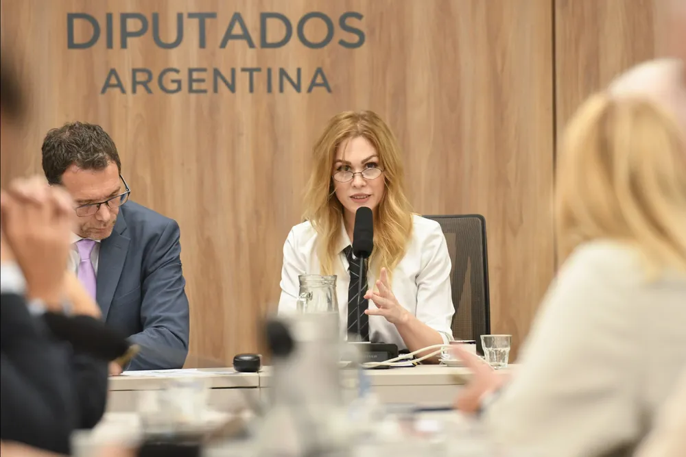 Lilia Lemoine (Diputados) 2