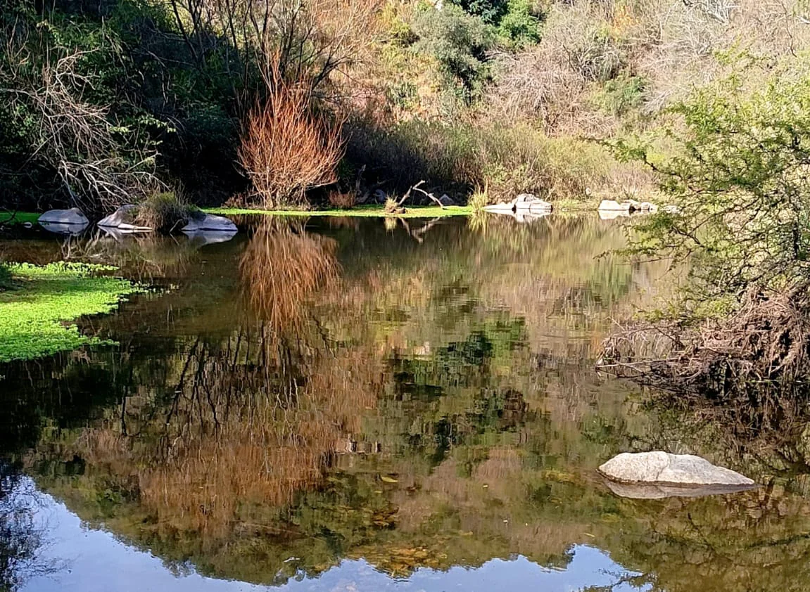 los hornillos laguna 1