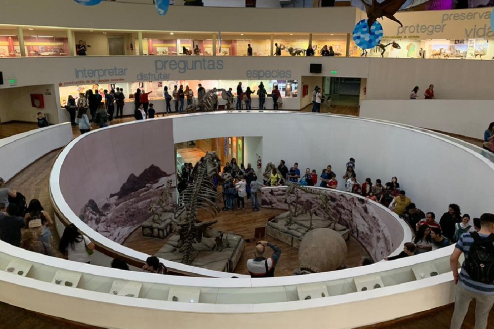NOCHE DE LOS MUSEOS BU PROVINCIA
