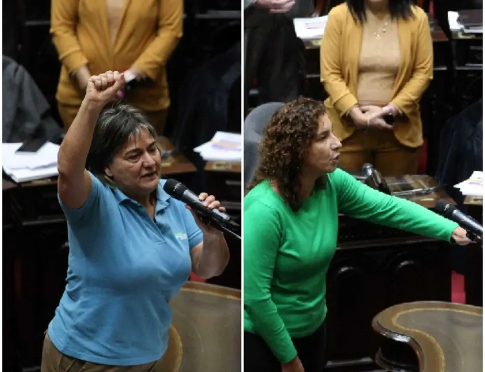 Asunción de las diputadas del FIT U Schlotthauer y Biasi (NA)