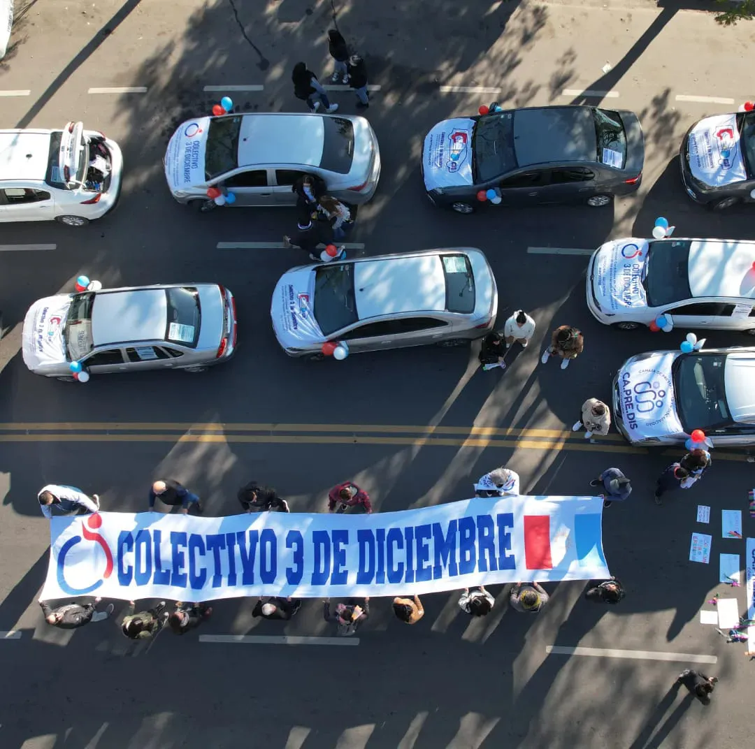 Movilización de Colectivo 3 de Diciembre y Capredis (Colectivo 3 de Diciembre)