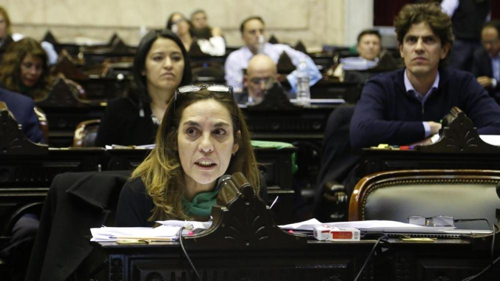Carla Carrizo Diputada UCR