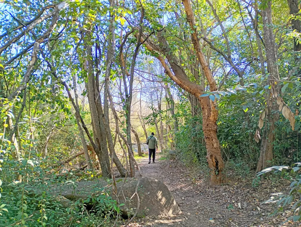 villa parque siquiman 2