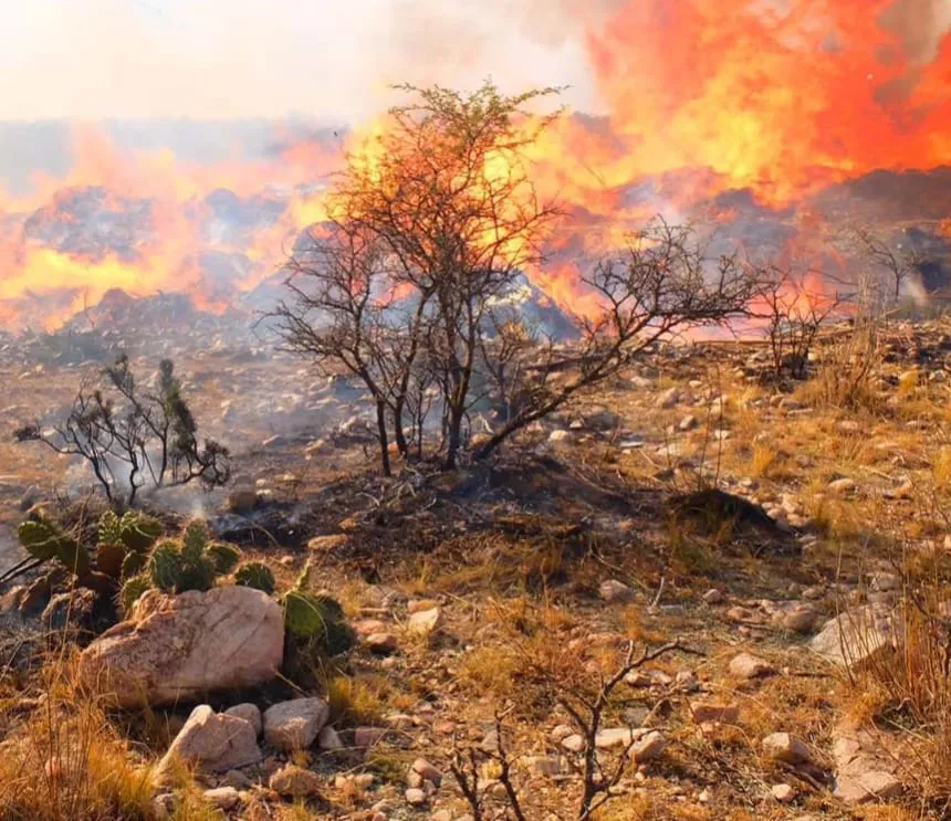 incendio la cumbre
