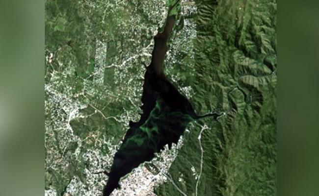 Lago San Roque algas