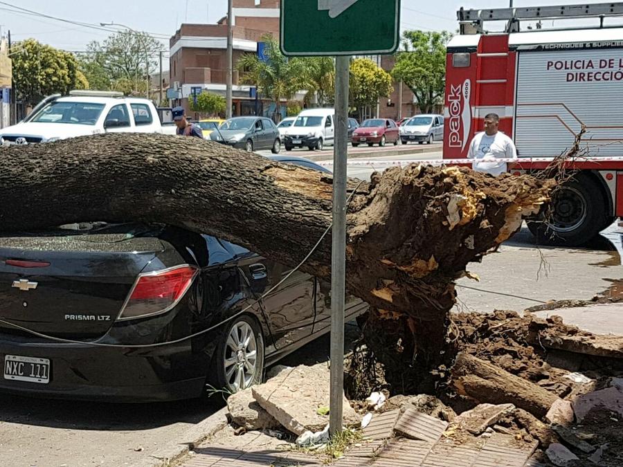 accidente auto juez de cámara by @Leoguevara80