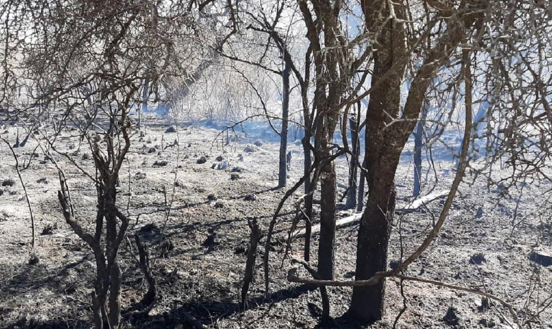 incendios
