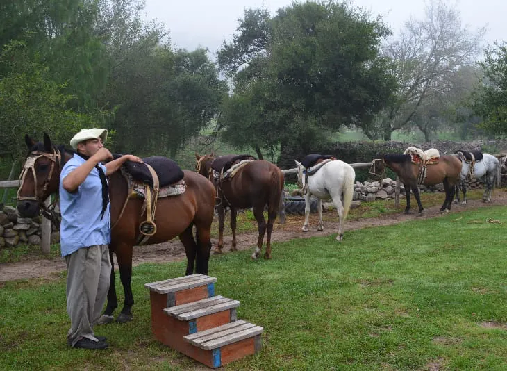 cabalgata las tapias