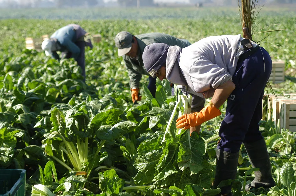 Trabajo rural (Renatre)