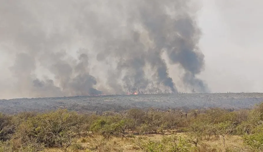 Incendio forestal (Gobierno de Córdoba)