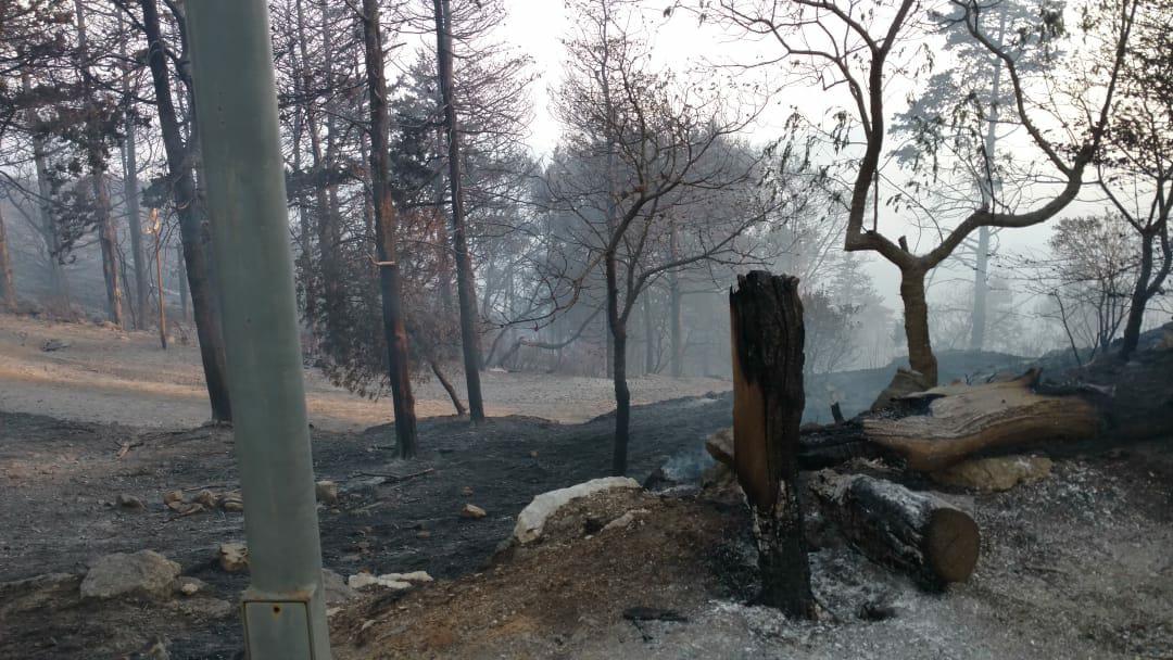 Incendio en Bosque Alegre by OAC