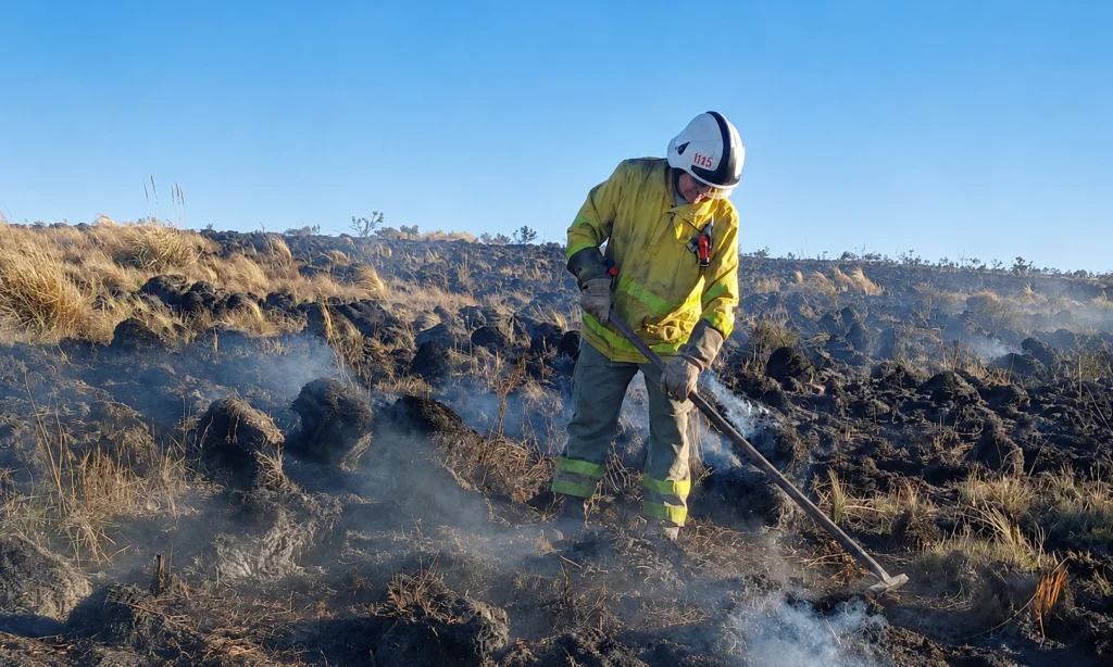 incendios forestales