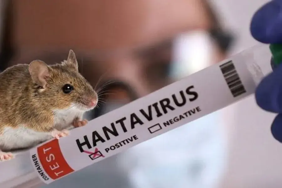 hantavirus canal 12