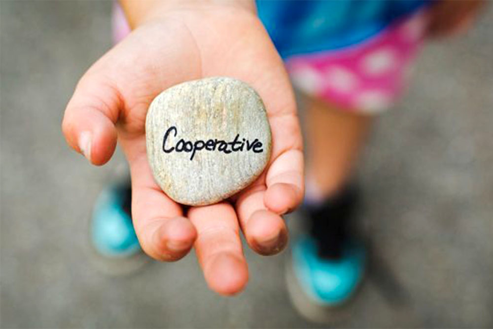 Suecia Cooperativa2