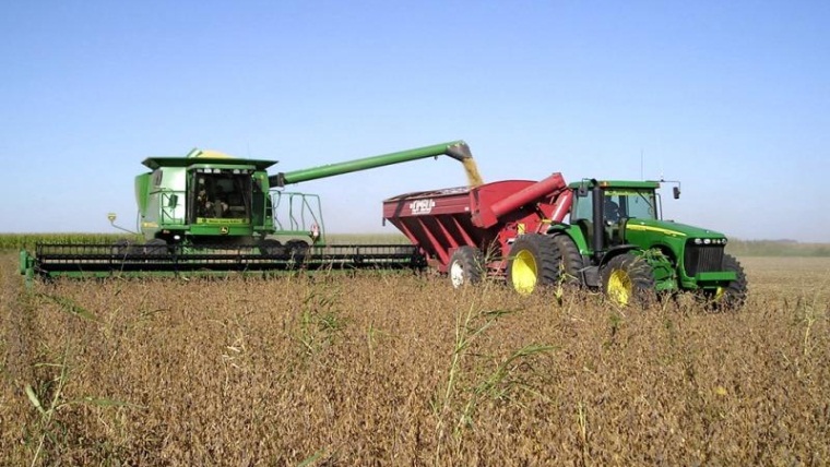 Cultivo campo agro