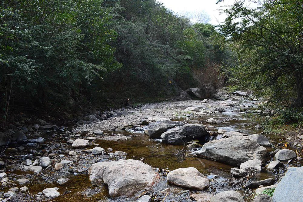 vaquerías