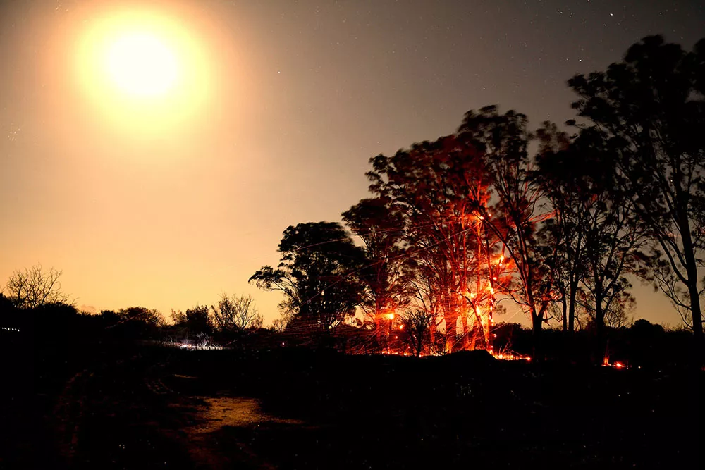 incendio san marcos (6)