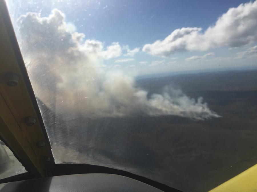 incendio traslasierras las palmas
