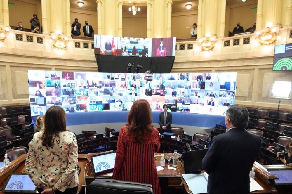 Sesion virtual en el Senado CFK