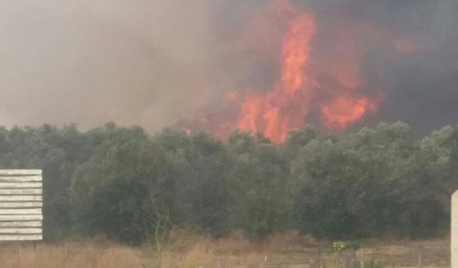 incendio la rioja